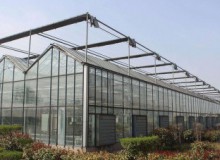 預(yù)防大雪壓塌及大棚溫室除雪方法大集合!